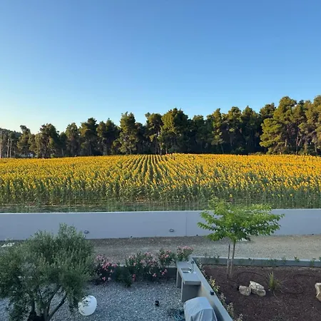 Villa Sani E Belli, With Private Pool